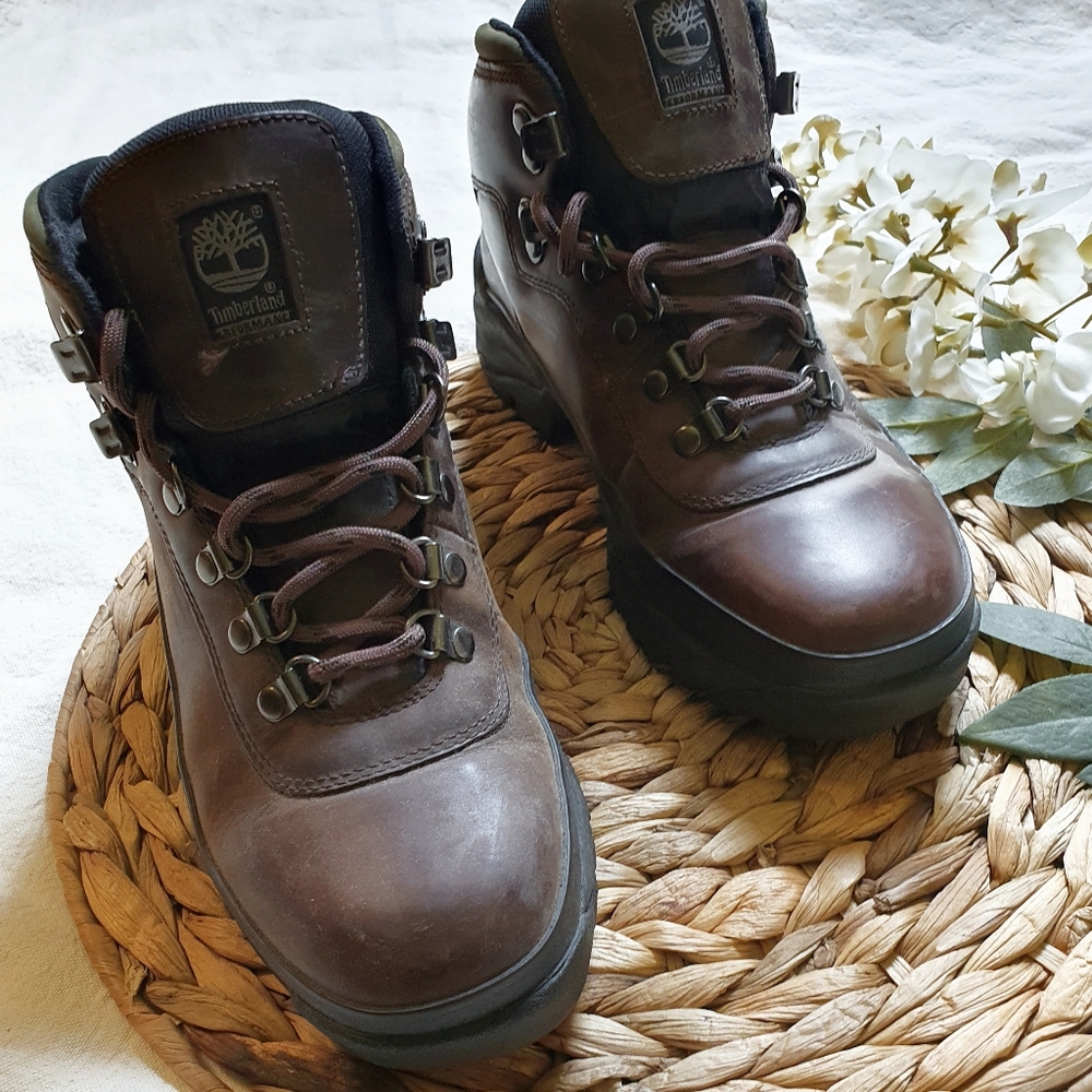 Timberland | Performance Lace Up Leather Ankle Hiking Boots, USW 9